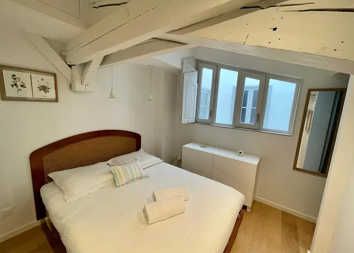 L'ecrin Des Arts - Appt Climatise Toulouse