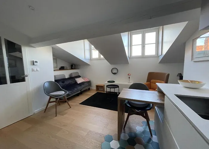 L'ecrin Des Arts - Appt Climatise Toulouse